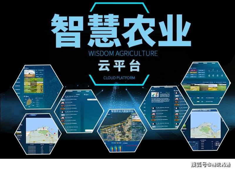 农业云平台:科技引领现代农业新篇章