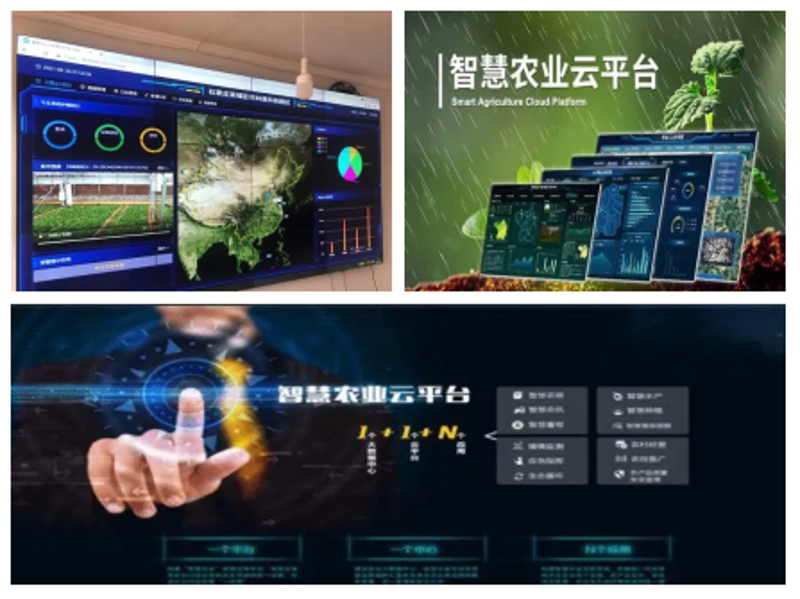 智慧农业：农业云平台引领新时代