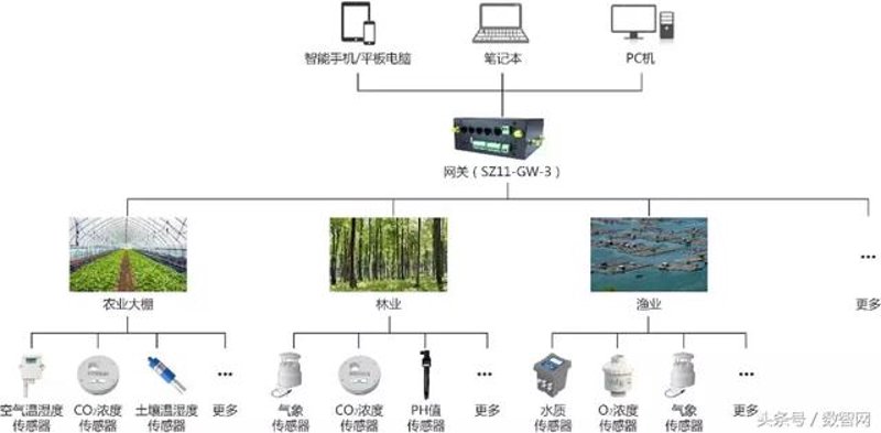 农业物联网解决方案引领智慧农业新时代