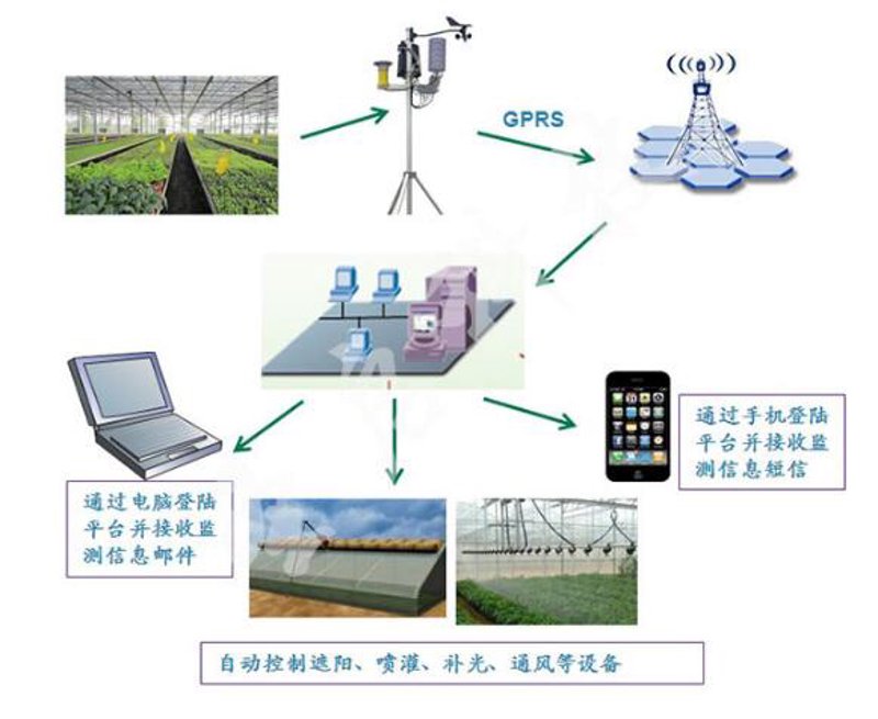 智慧农业时代:种植基地监控助力精准管理