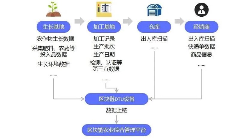 成都智慧农业：科技引领未来农业